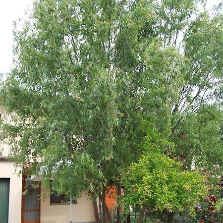 Bed and Breakfast I Salici Di Laura Porto Fuori Exterior foto